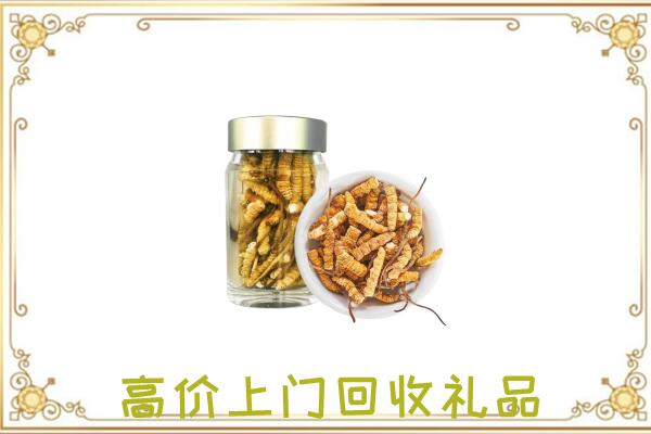定安周边回收虫草